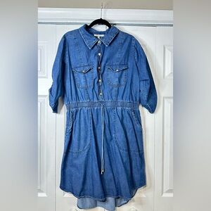 Denim Button-Up Dress